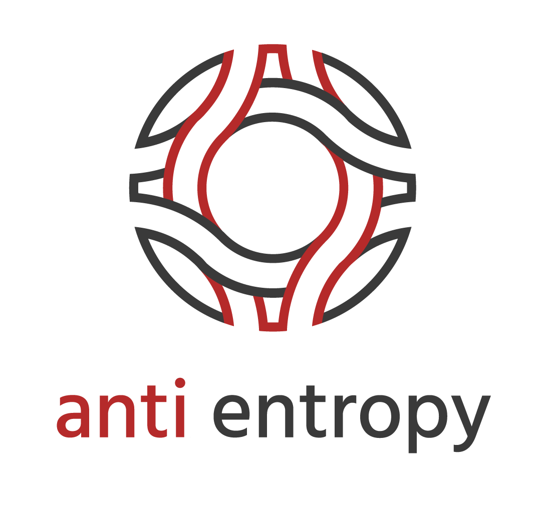 anti entropy logo